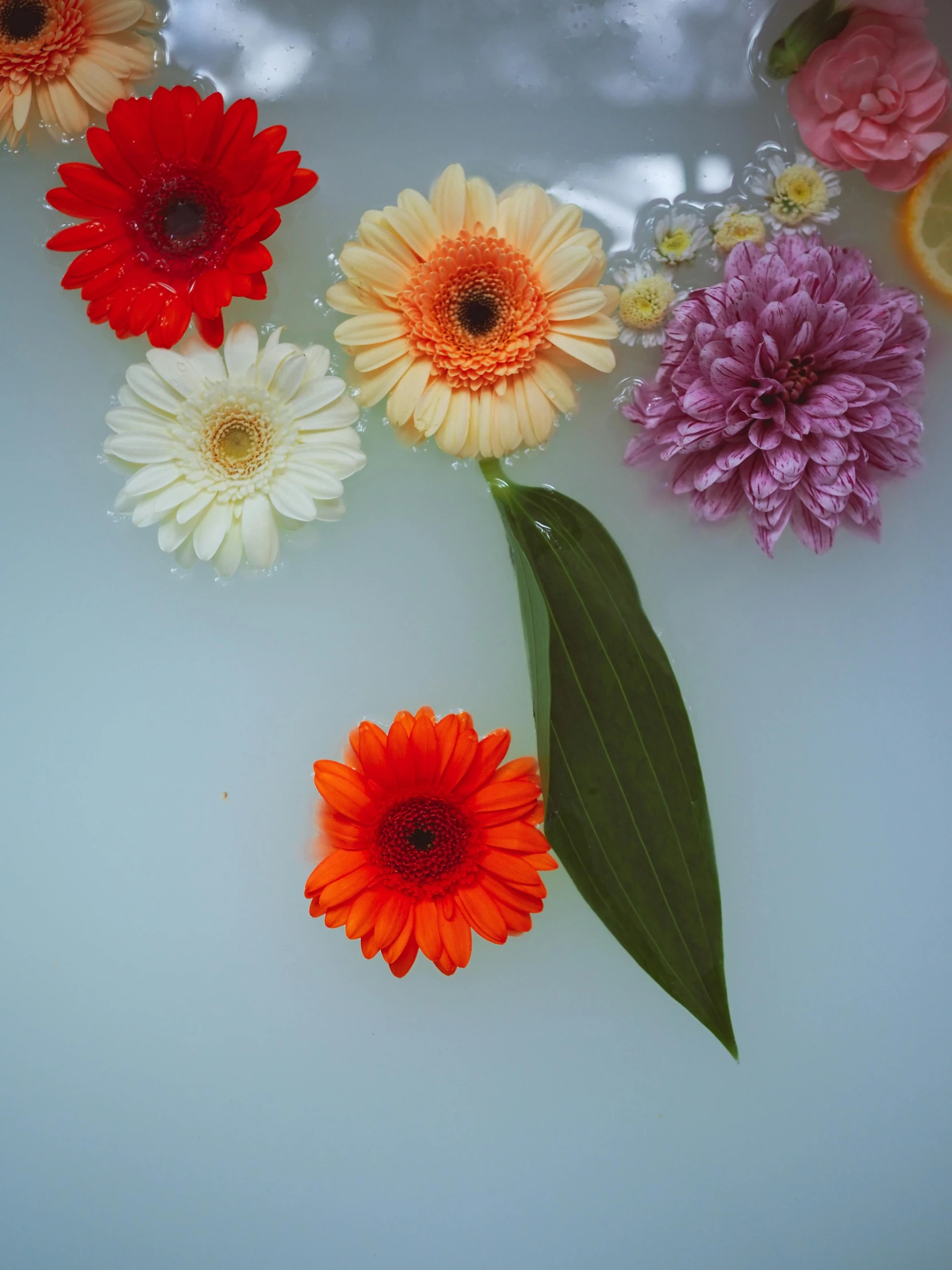 a bath tub filled with lots of different colored flowers, by Sara Saftleven, trending on unsplash, process art, head made of giant daisies, floating symbols and crystals, high angle close up shot, high quality product photo