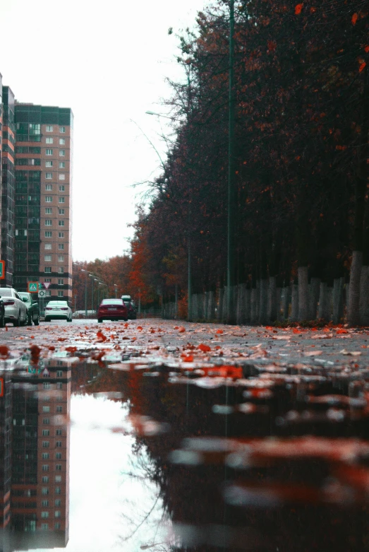 a puddle of water in the middle of a city street, inspired by Elsa Bleda, unsplash contest winner, photorealism, autumn leaves, panoramic anamorphic, moscow, vhs effect