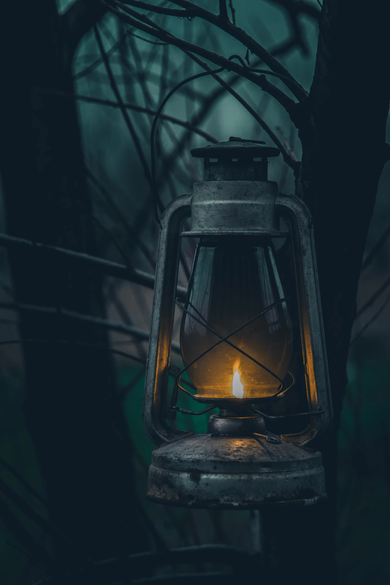 a lantern hanging from a tree in the dark, an album cover, pexels contest winner, light of sorrow, gas lighting, search lights, on a candle holder