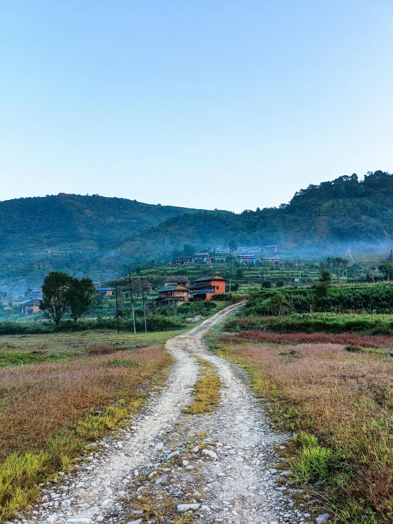 a dirt road in the middle of a field, by Daniel Lieske, pexels contest winner, sumatraism, chinese village, guangjian huang, profile image, above lush garden and hot spring