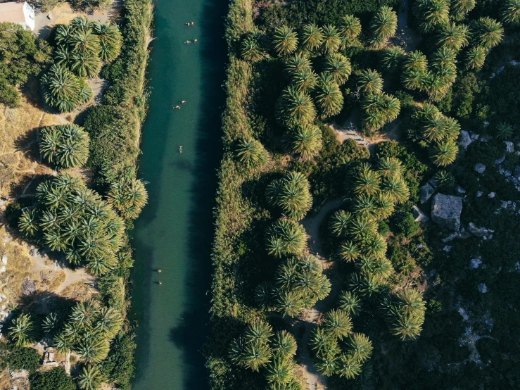 a river running through a lush green forest, an album cover, by Daren Bader, unsplash contest winner, hurufiyya, palm springs, birds eye overhead perspective, canals, tubing