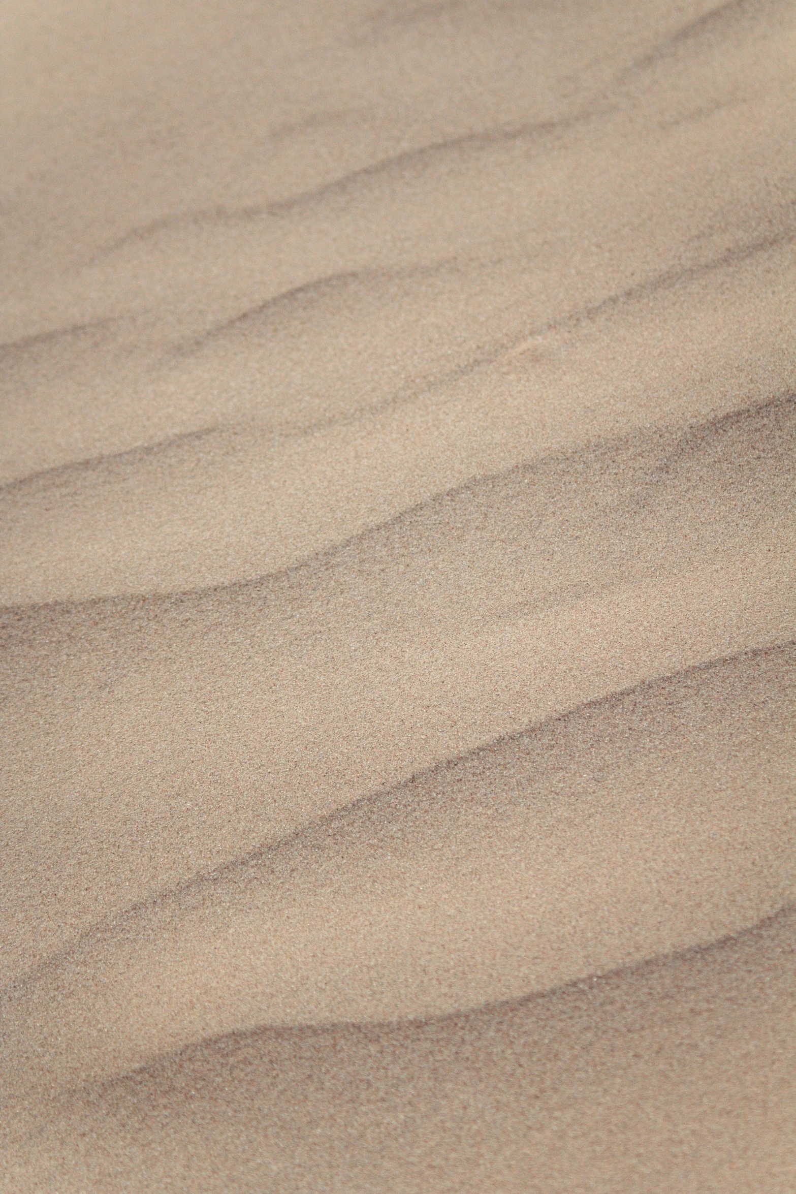 a bird standing on top of a sandy beach, subtle pattern, sand swirling, shot with sony alpha, close - up photograph