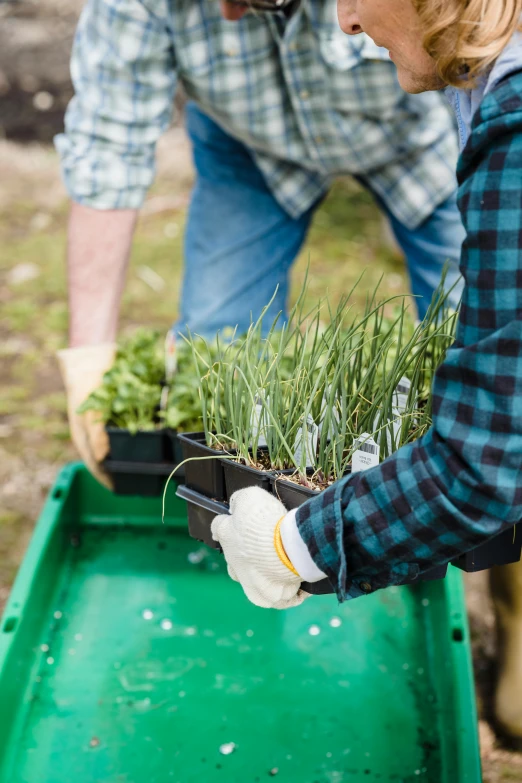 a man and a woman tending to plants, shutterstock, arbeitsrat für kunst, carrying a tray, close up image, grass and weeds, sustainable materials