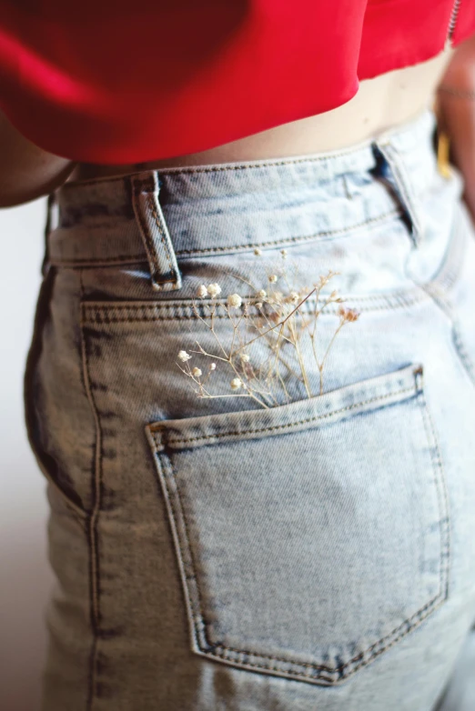 a close up of a person wearing a pair of jeans, an album cover, inspired by Elsa Bleda, trending on pexels, renaissance, dried flower, high waisted shorts, silver gold red details, gypsophila