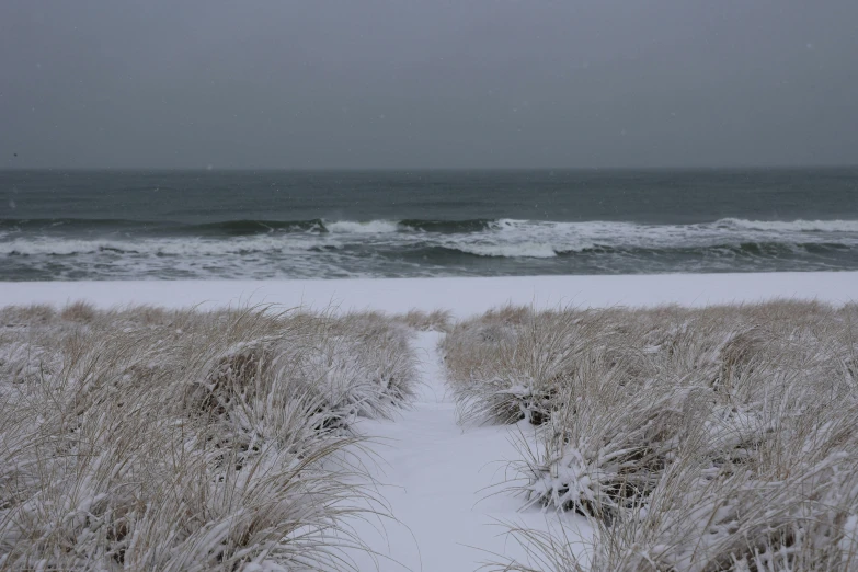 a beach covered in snow next to the ocean, by Ryan Pancoast, unsplash, land art, snowstorm ::5, dune, overcast gray skies, 2000s photo