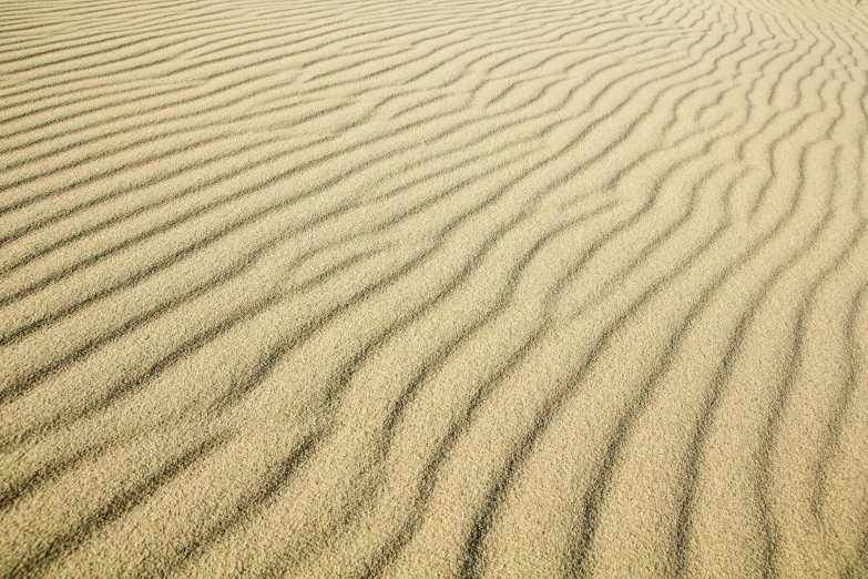 a person riding a surfboard on top of a sandy beach, a stipple, unsplash, op art, sandy beige, texture of sand, death valley, stubble