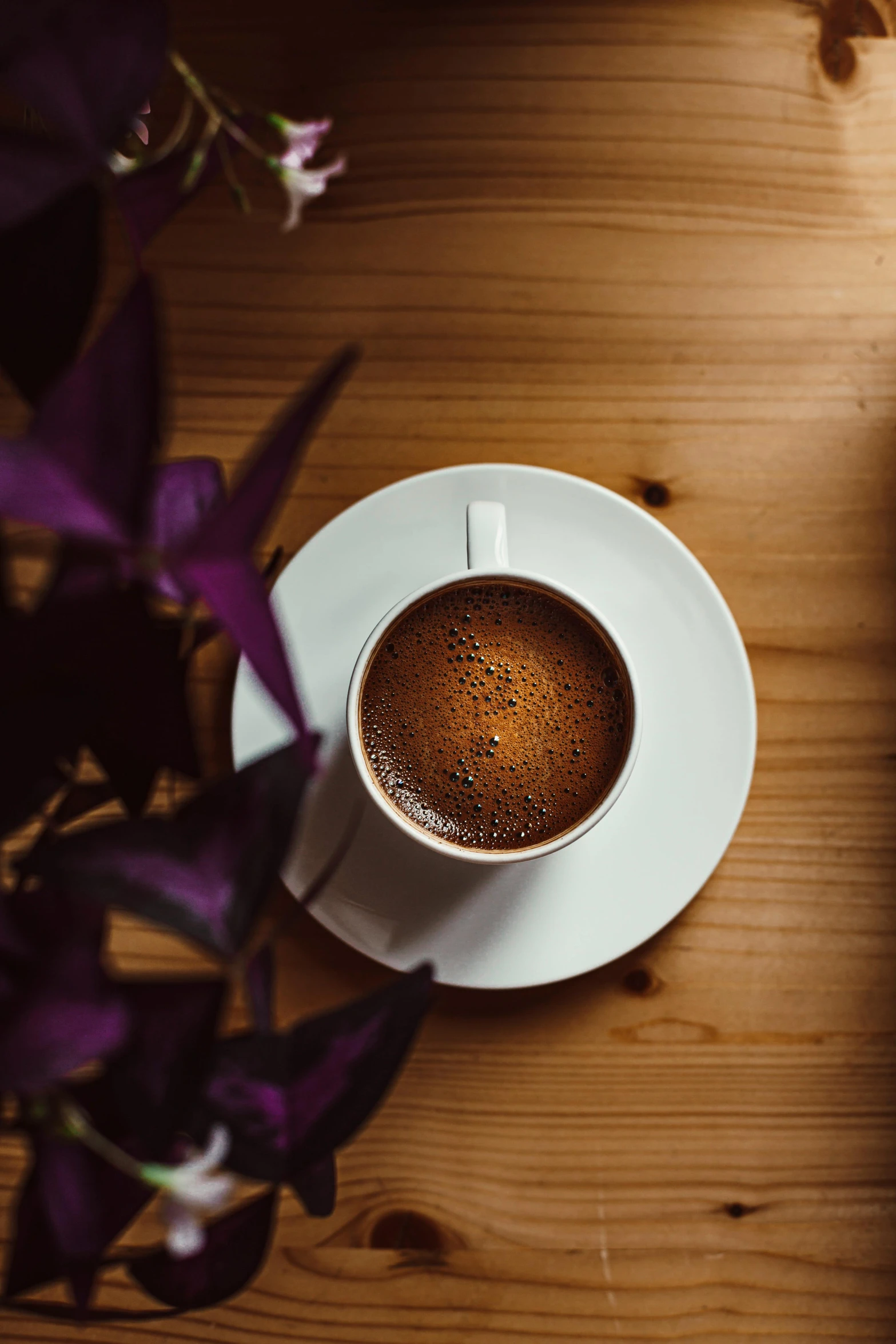 a cup of coffee sitting on top of a wooden table, purple, alessio albi, with blunt brown border, soup