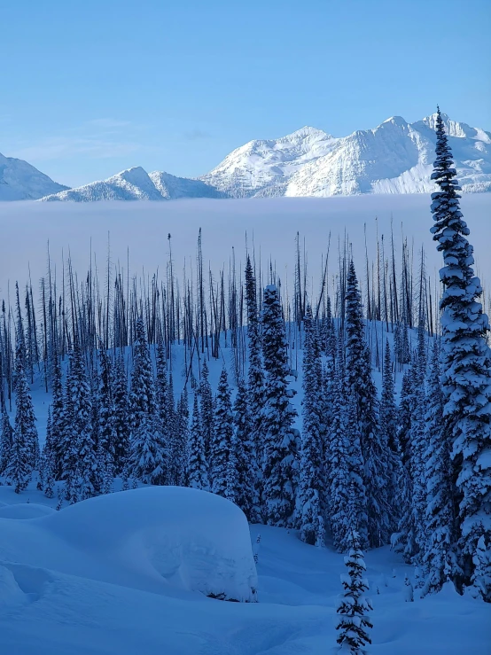 a man riding skis down a snow covered slope, overlooking a valley with trees, terragen, epic land formations, an eerie