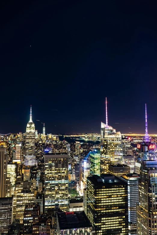 a view of a city at night from the top of a building, new york zoo in the background, tall spires, 8k resolution”, 8 k -