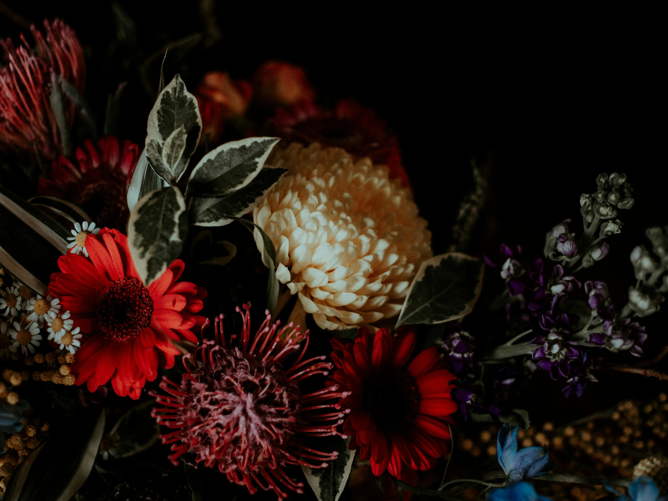 a close up of a bouquet of flowers on a table, a still life, by Carey Morris, trending on unsplash, in black blue gold and red, dark flower pattern wallpaper, australian wildflowers, red and purple