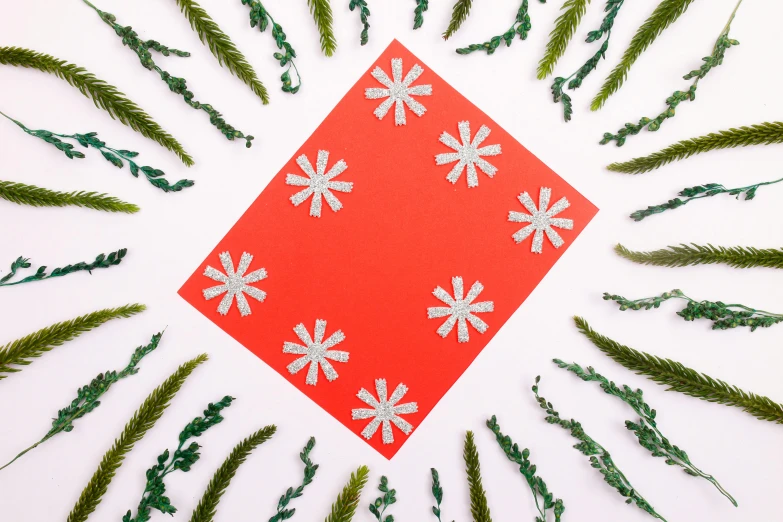 a red square surrounded by green plants on a white surface, inspired by Ellsworth Kelly, pexels contest winner, op art, snowflakes, glittering silver ornaments, paper decoration, red cloth