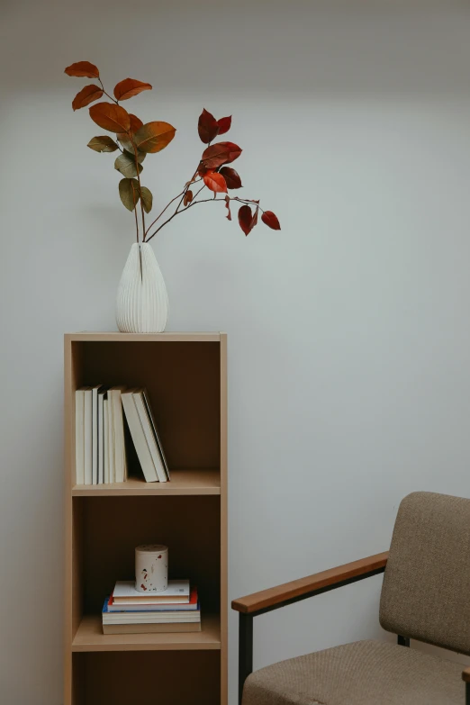 a white vase sitting on top of a wooden shelf next to a chair, unsplash, small library, doctors office, red brown and grey color scheme, low quality photo