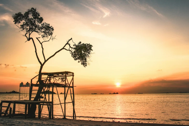 a tree sitting on top of a sandy beach next to the ocean, pexels contest winner, golden hour in boracay, beachwood treehouse, sunfaded, near a jetty