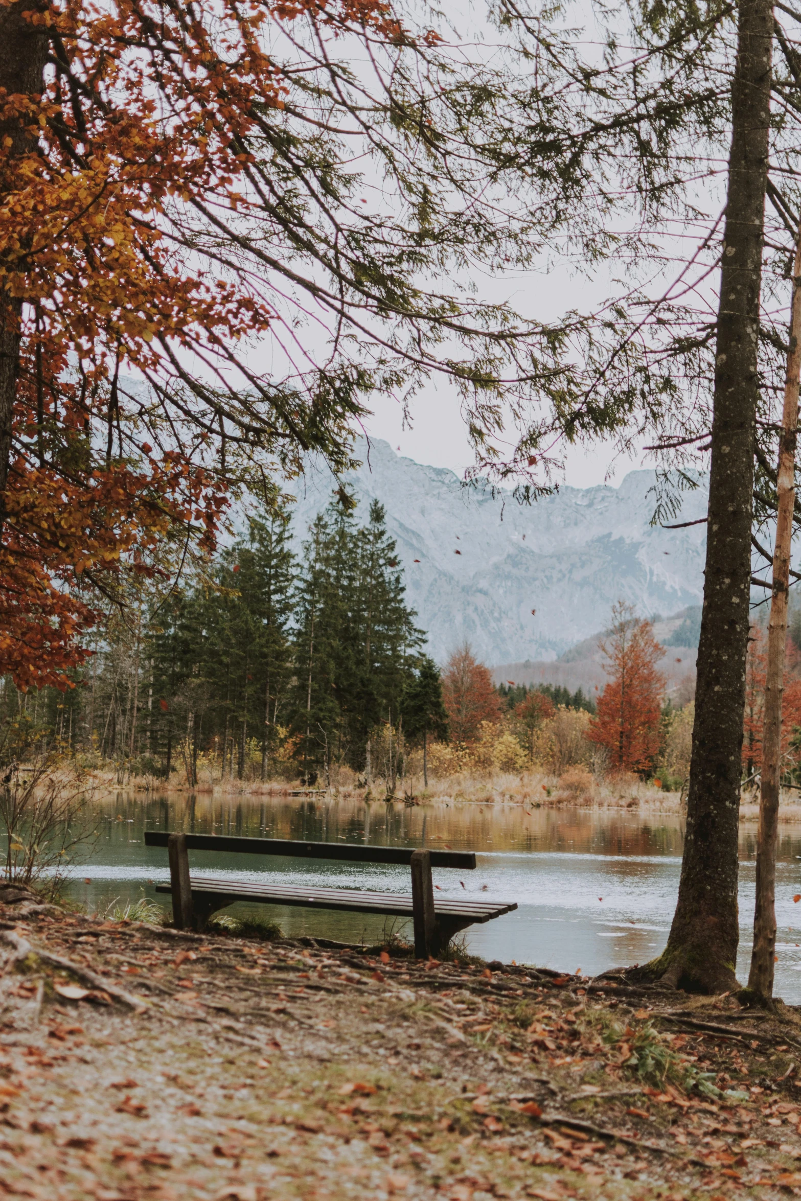 a wooden bench sitting next to a body of water, by Sebastian Spreng, pexels contest winner, autumn mountains, outside winter landscape, pine trees in the background, munich