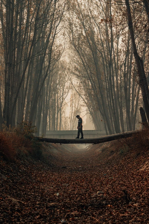a person walking across a bridge in the middle of a forest, by Eglon van der Neer, pexels contest winner, conceptual art, teenage boy, late autumn, looking sad, full body within frame