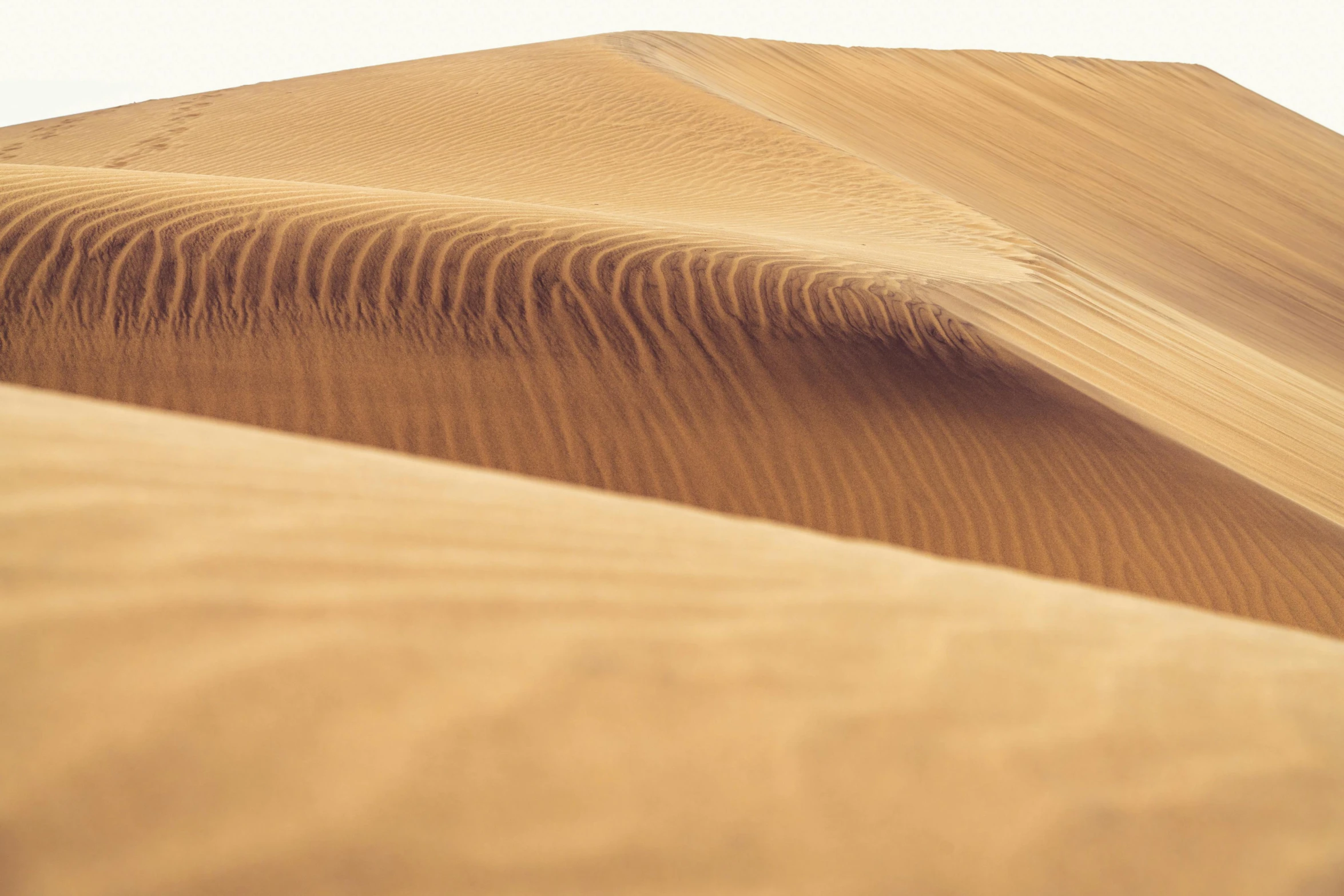 a man riding a surfboard on top of a sandy beach, by Peter Churcher, unsplash contest winner, op art, intricate wrinkles, sahara desert, folds, ochre