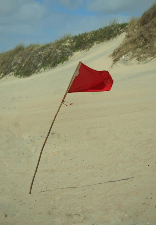 a red flag sitting on top of a sandy beach, by Joe Stefanelli, land art, myrtle, square, fine wind, sickly