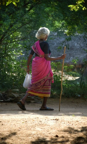 a woman walking down a dirt road with a stick, wearing a sari, elderly, pink, 4 legs