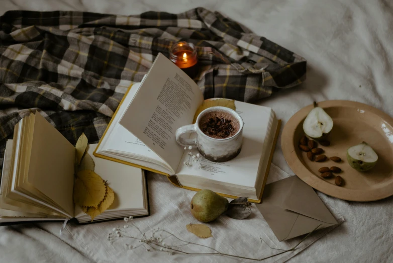 an open book sitting on top of a bed next to a plate of fruit, pexels contest winner, romanticism, wearing a flannel shirt, sitting on a mocha-colored table, witchy clothing, brown and white color scheme