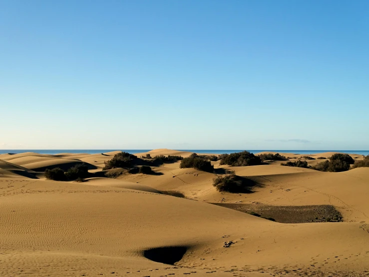 a person riding a surfboard on top of a sandy beach, pexels contest winner, land art, barren desert landscape, panoramic, moroccan, blue sand