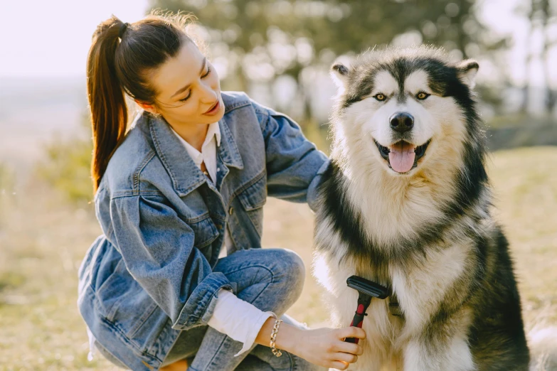 a woman kneeling down petting a dog in a field, trending on pexels, siberian husky, dry brushing, well-groomed model, thumbnail