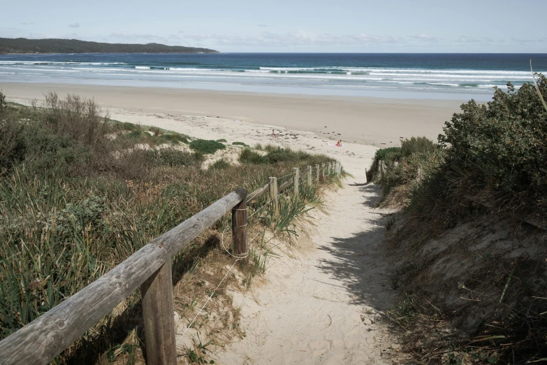 a path leading to a beach next to the ocean, by Susy Pilgrim Waters, happening, lachlan bailey, full frame image