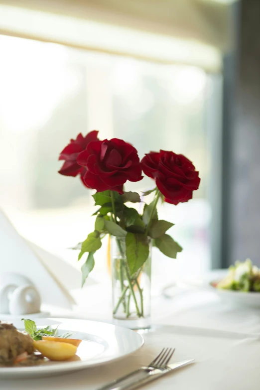 a close up of a plate of food on a table, holding a red rose, roses, 3 - piece, maroon