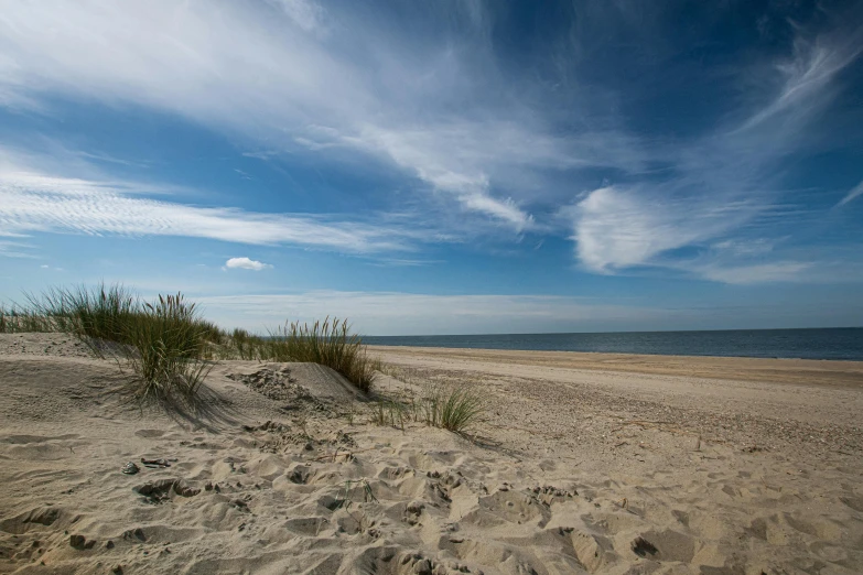 a sandy beach next to the ocean under a blue sky, by Jan Tengnagel, unsplash, land art, square, high quality photo, adult, coast