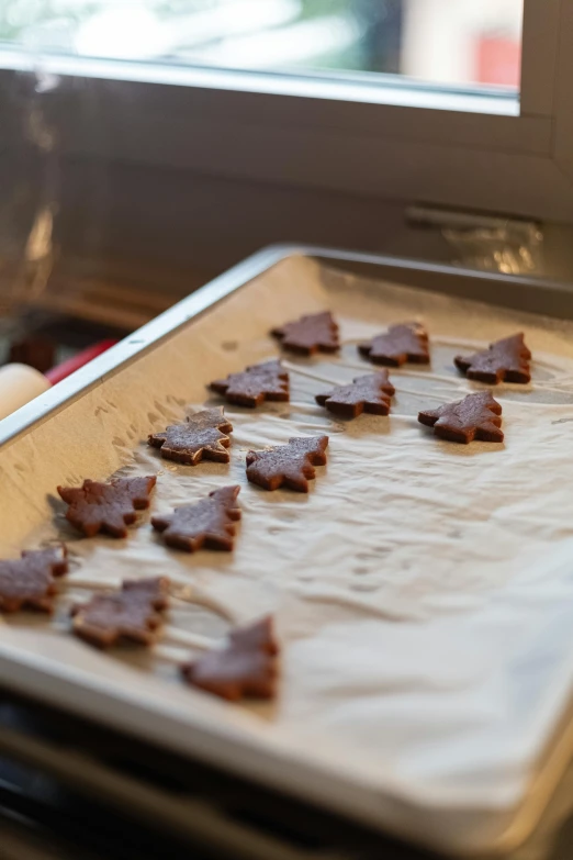 a pan filled with cookies sitting on top of a counter, by Jessie Algie, pexels, fir trees, masking, crisp clean shapes, mini model