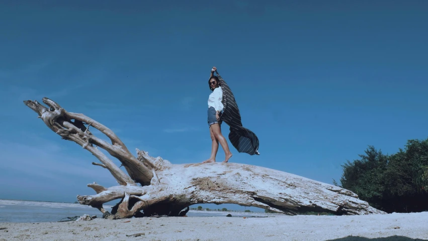 a woman standing on top of a tree trunk on a beach, an album cover, pexels contest winner, conceptual art, long blue cape, still from a music video, unfinished roots of white sand, dua lipa