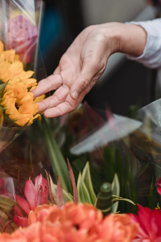 a close up of a person holding a bunch of flowers, picking up a flower, displayed, yellow, vendors