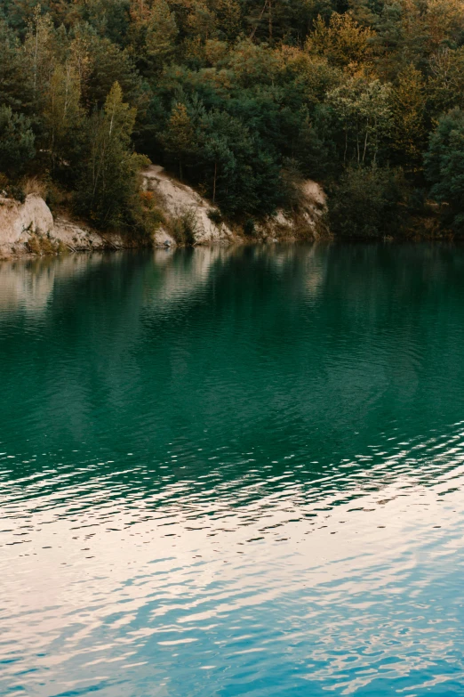 a large body of water next to a forest, a picture, inspired by Elsa Bleda, trending on unsplash, renaissance, rock quarry location, teal aesthetic, peacefully drinking river water, calm evening