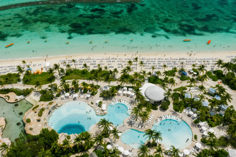 an aerial view of an outdoor swimming pool surrounded by palm trees, bahamas, white beaches, 🦩🪐🐞👩🏻🦳, coral reef