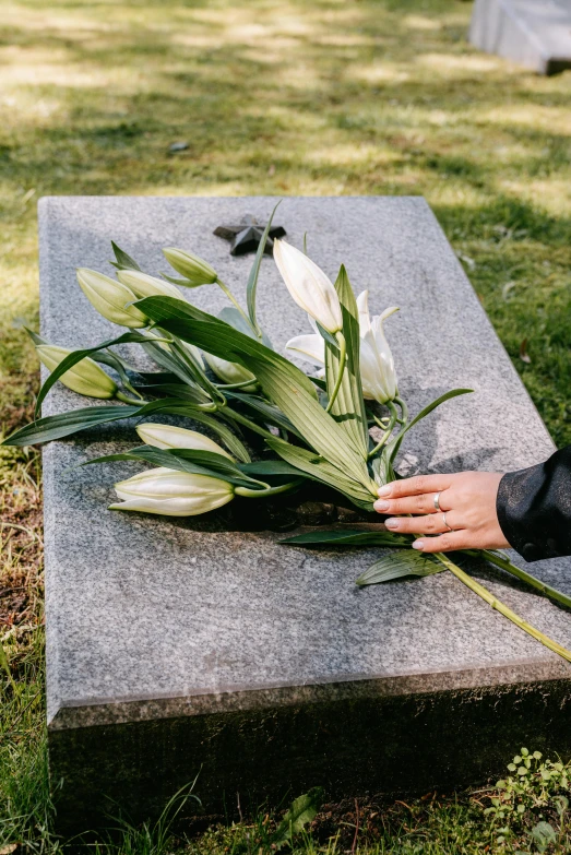 a person placing a bunch of flowers on a grave, white lilies, lying on an empty, holding close