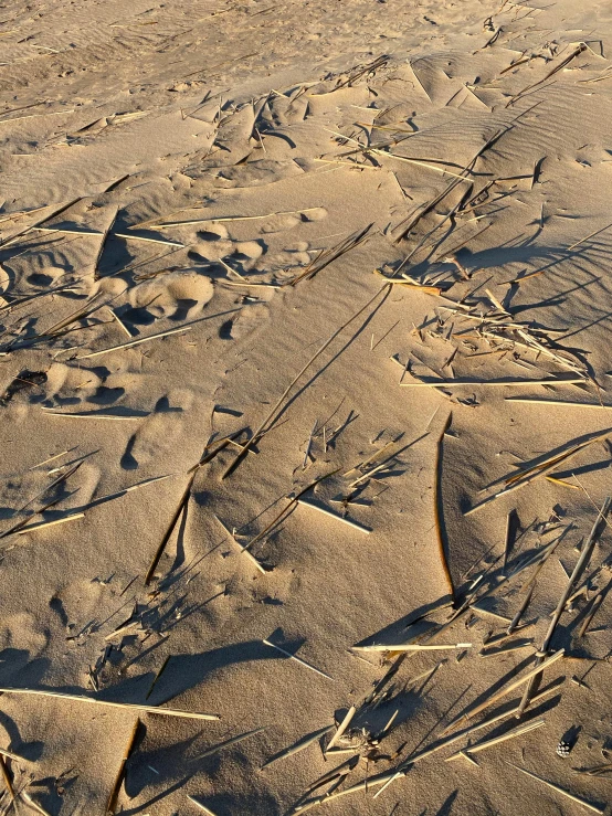 a man flying a kite on top of a sandy beach, inspired by Peter Gric, unsplash, land art, close-up print of fractured, carved floor, early morning light, grain”