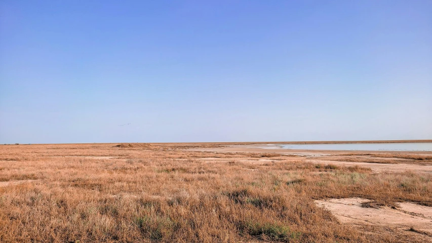 a body of water sitting on top of a dry grass covered field, les nabis, wide horizon, in the desert beside the gulf, landscape photo-imagery, ground - level medium shot