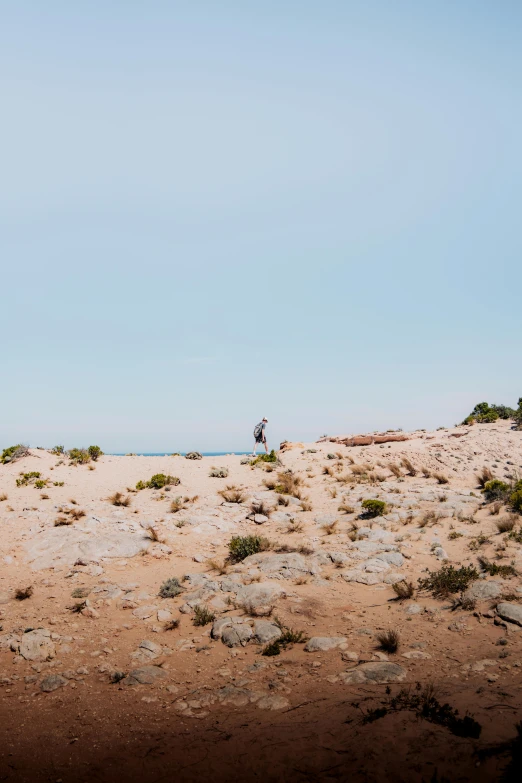 a man flying a kite on top of a sandy beach, by Alexis Grimou, minimalism, rocky terrain, panoramic, sparse vegetation, walking away from camera