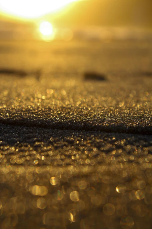 the sun is setting over the water on the beach, a microscopic photo, by Matt Stewart, light snow, gold mist, laying on sand, detail shot