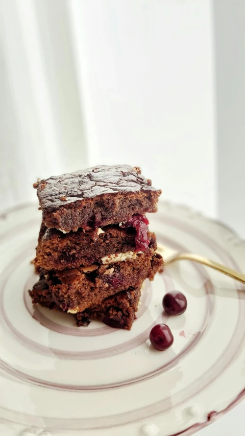 a stack of brownies sitting on top of a white plate, by Paul Bird, submerged in cranberries, press shot, amanda lilleston, fra