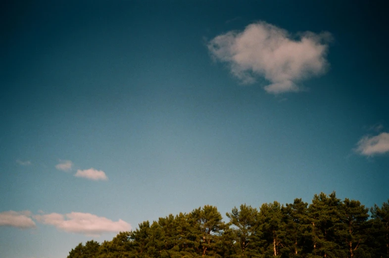 a man flying a kite on top of a lush green field, inspired by Elsa Bleda, unsplash, postminimalism, tall pine trees, round clouds, ((trees)), medium format