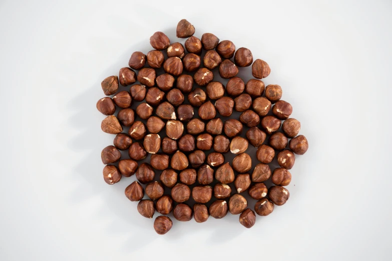 a pile of nuts sitting on top of a white surface, a digital rendering, inspired by Katsushika Ōi, hyperrealism, reddish - brown, 64x64, hemp, 4 k smooth