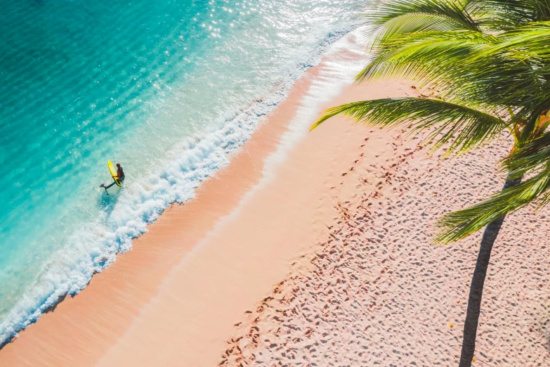 a person riding a surfboard on top of a sandy beach, pexels contest winner, pink arches, caribbean, flatlay, palm trees on the beach