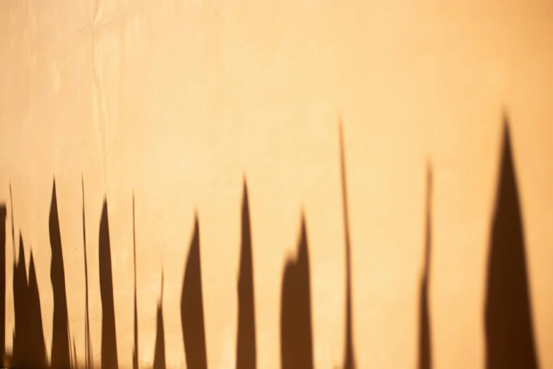 a row of umbrellas casting a shadow on a wall, an album cover, inspired by Lucio Fontana, trending on unsplash, lyrical abstraction, orange spike aura in motion, tall spires, golden hour closeup photo, thorns