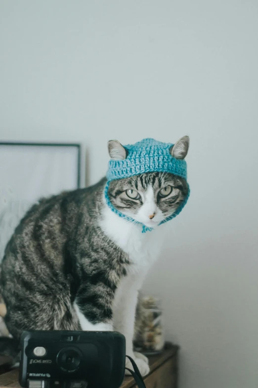 a cat sitting on top of a table next to a camera, wearing teal beanie, ((blue)), balaclava, pets