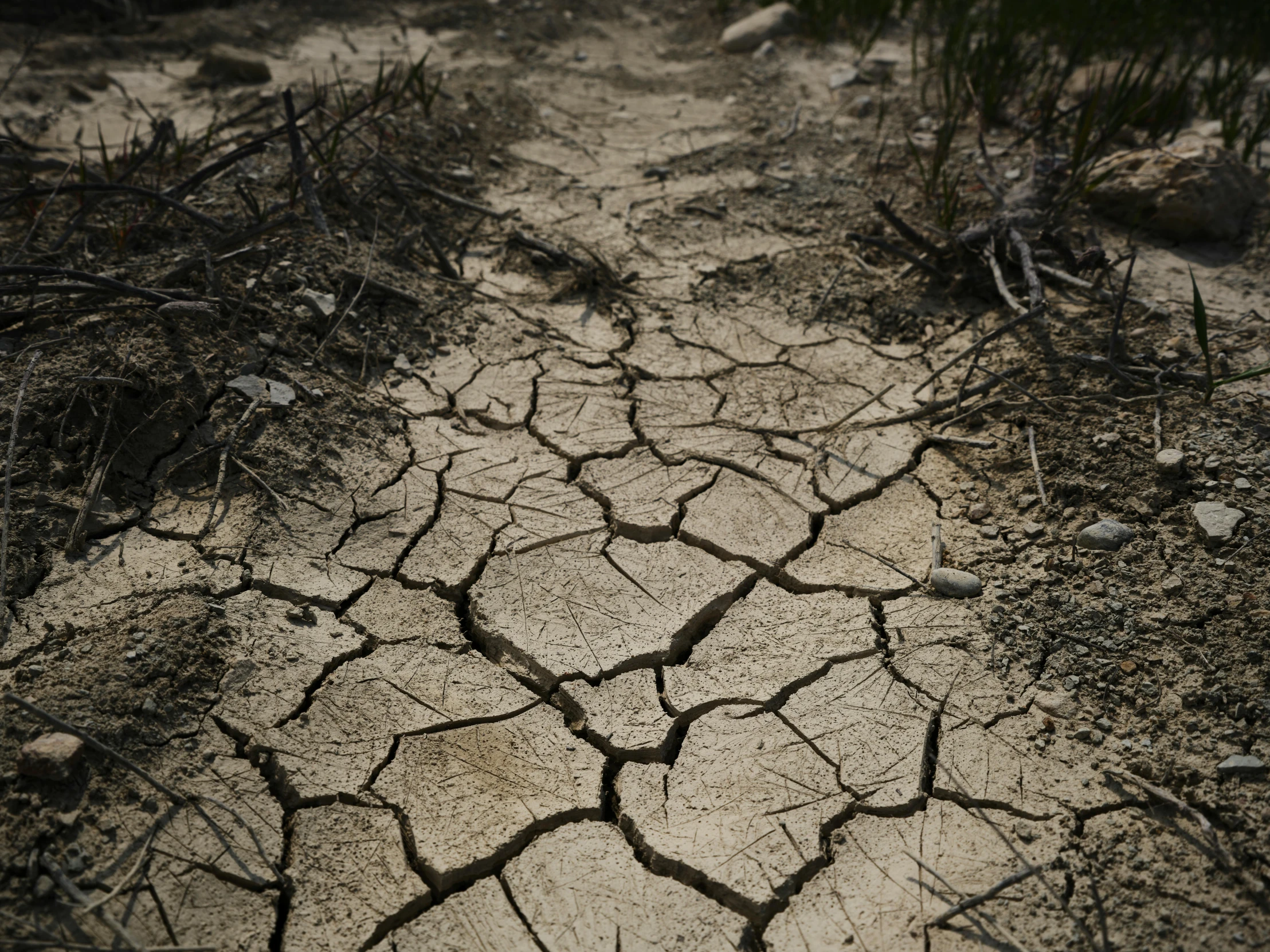 a dirt path in the middle of a field, by Jessie Algie, unsplash, subject made of cracked clay, on a hot australian day, thirst, it's getting dark