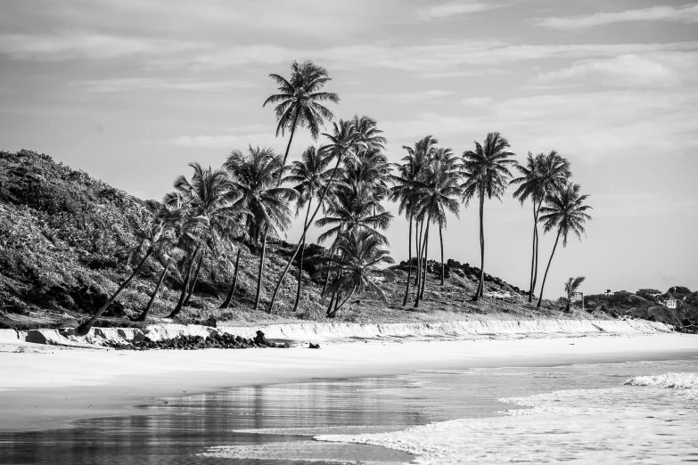 a black and white photo of a beach with palm trees, inspired by Samuel Silva, pexels contest winner, brazil, winter setting, medium format, coastline