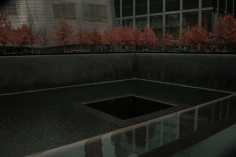 a reflection of a building in a pool of water