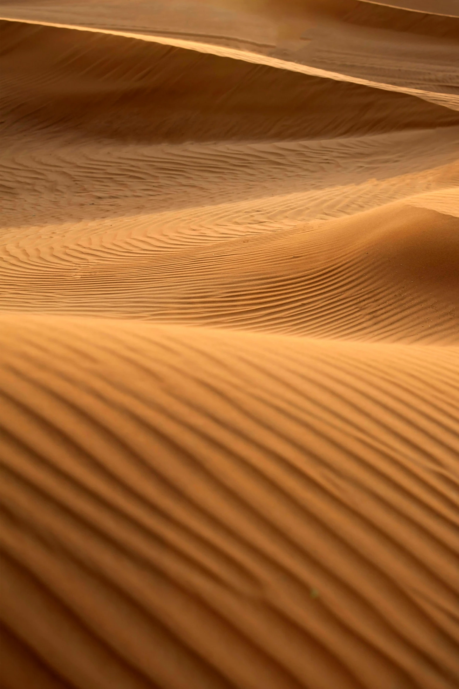 a person riding a surfboard on top of a sandy beach, by Peter Churcher, unsplash contest winner, land art, oman, honey ripples, sand color, folds