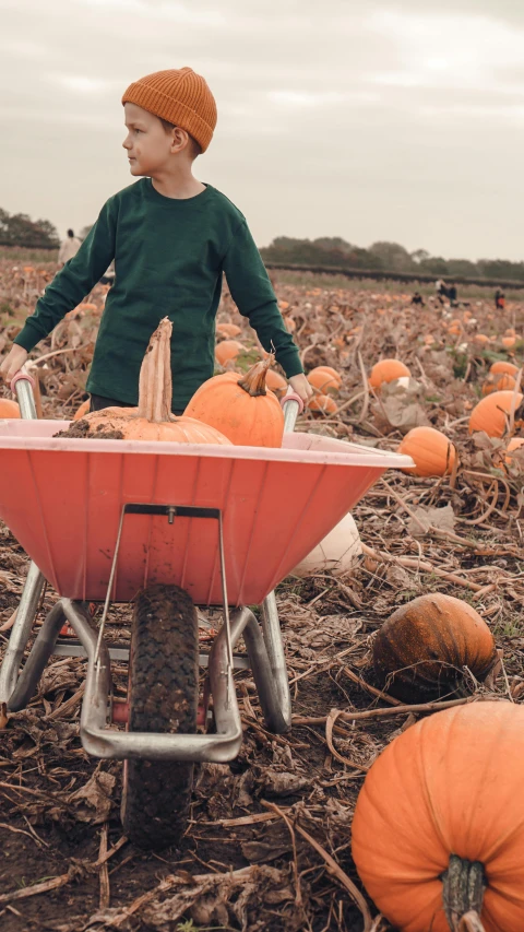 a young boy pushing a wheelbarrow through a field of pumpkins, by Elsa Bleda, pexels, renaissance, worksafe. instagram photo, dressed in a worn, thumbnail, promotional image