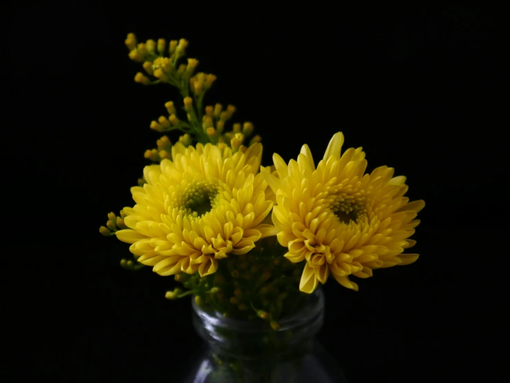 a vase filled with yellow flowers on top of a table, on a black background, shot with sony alpha, chrysanthemum eos-1d, portrait image